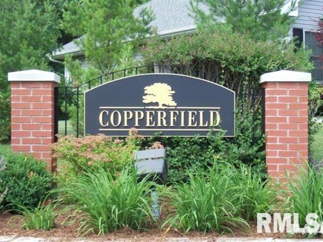 Land for sale in Dunlap, Illinois