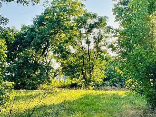 Land for sale in Historic Downtown, Mineola