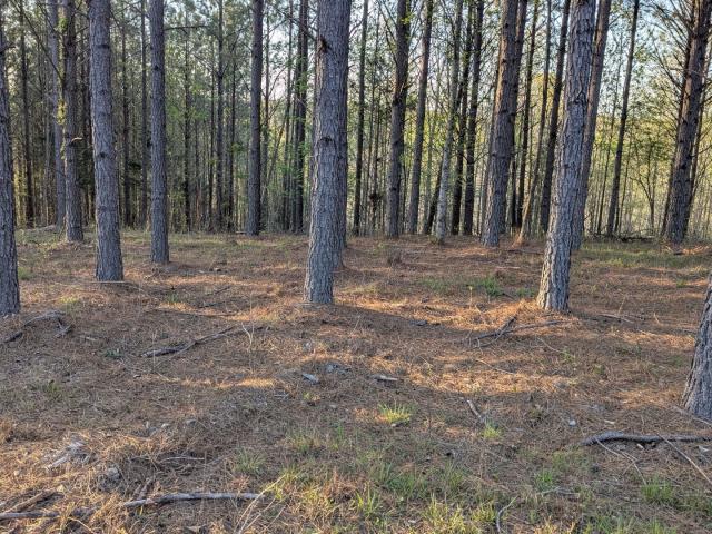 Land for sale in Tennessee