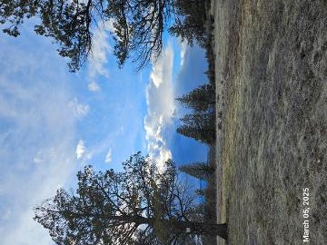 Land for sale in Hornbrook, California