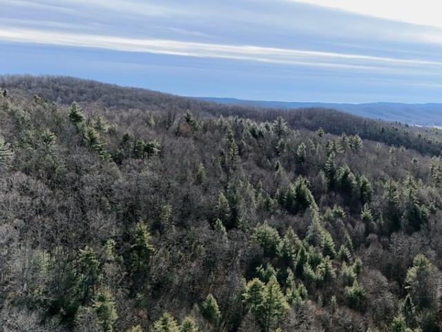 Land for sale in West Virginia