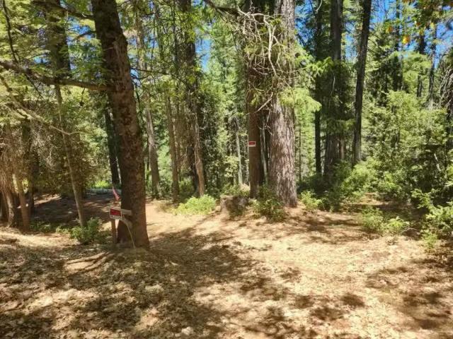 House for rent in Butte, California