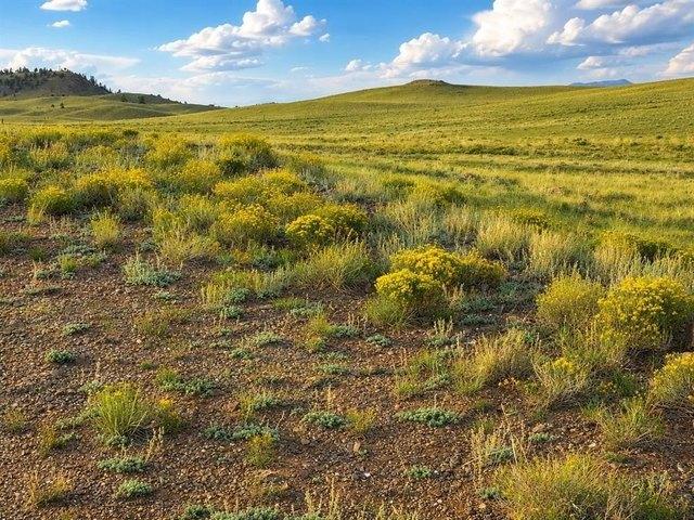 Land for sale in Hartsel, Colorado