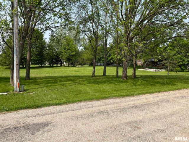 Land for sale in Geneseo, Illinois