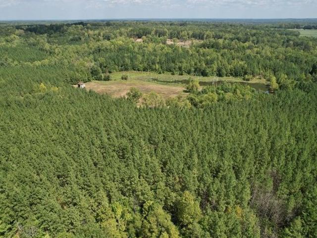 Land for sale in Nathalie, Halifax County
