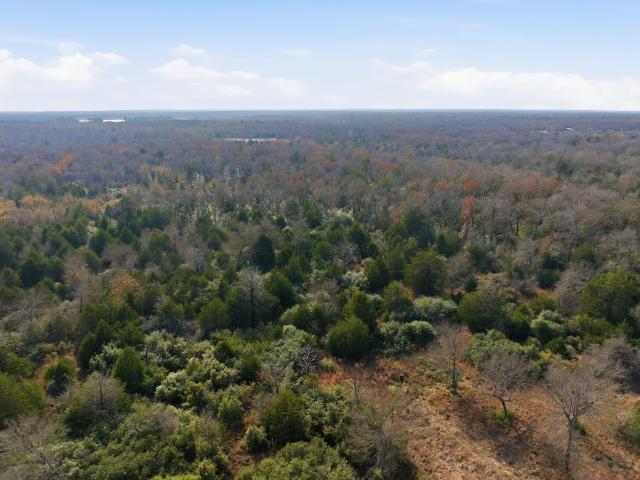 Land for sale in Groesbeck, Limestone County