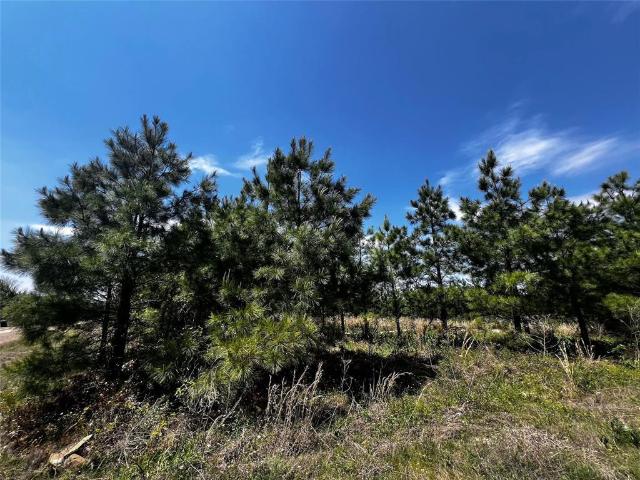 Land for sale in Broken Bow, Oklahoma