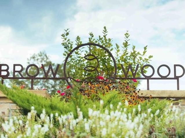 Land for sale in Lookout Mountain, Walker County