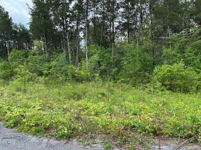 Land for sale in Bowling Green, Kentucky