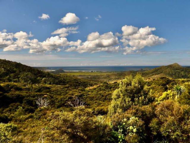 House for sale in Great Barrier Island