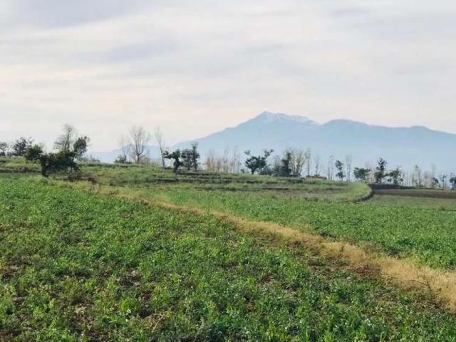Land for sale in Mansehra, North West Frontier Province