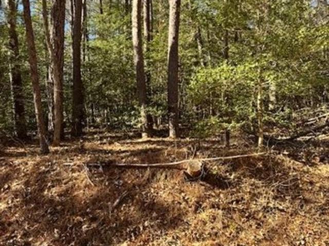 Land for sale in Virginia