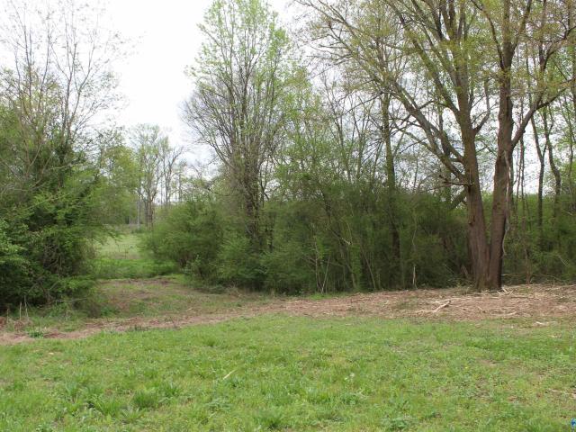 Land for sale in Guntersville, Alabama