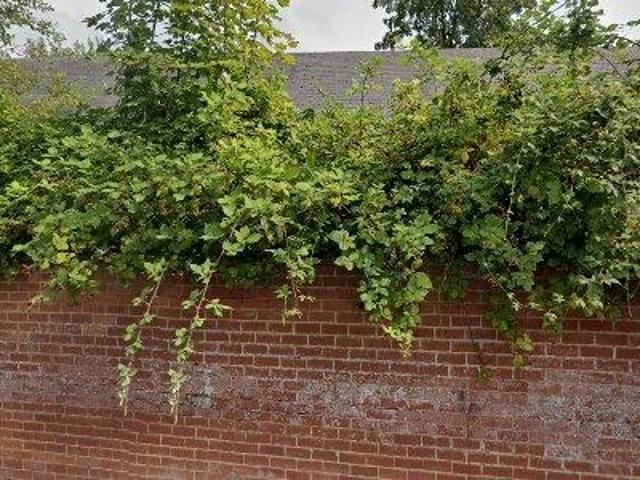 Appartement location à Bon-secours, Wallonie