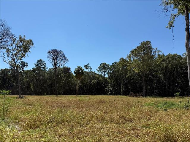 Property for sale in Reddick, Florida
