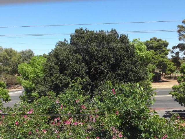 Townhouse for rent in Gilberton