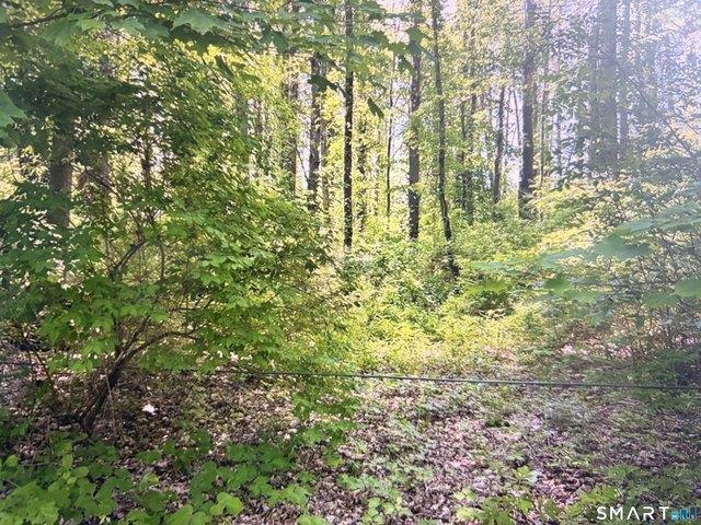 Land for sale in Canaan, Connecticut