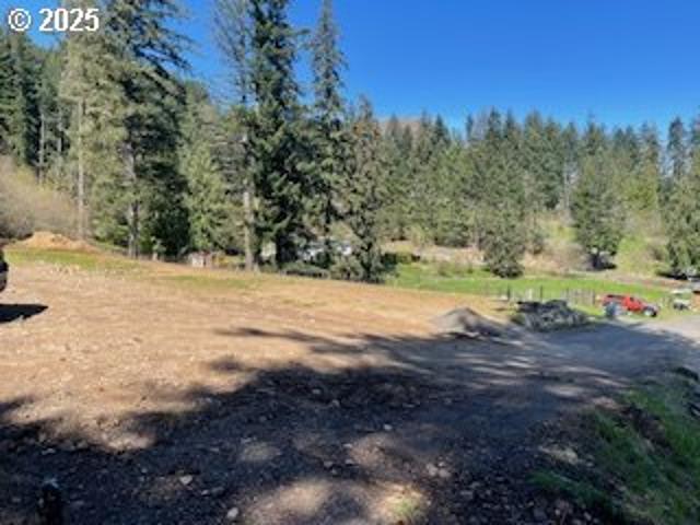 Land for sale in Carson, Washington