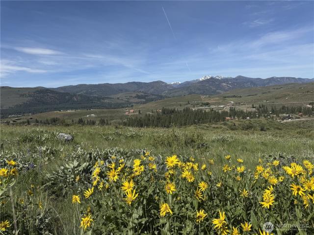 Land for sale in Winthrop, Washington