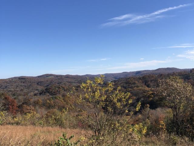 Land for sale in Tennessee