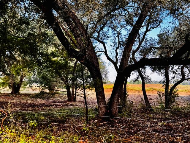 Land for sale in La Grange, Texas