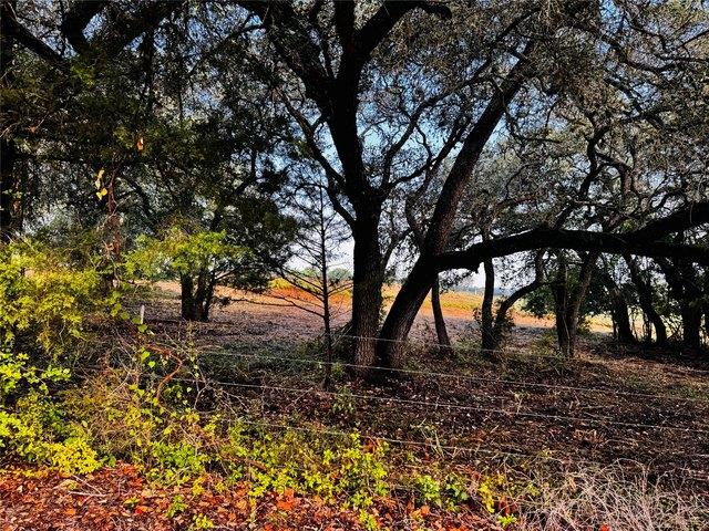 Land for sale in La Grange, Texas
