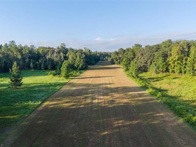 Land for sale in Anthony, Florida