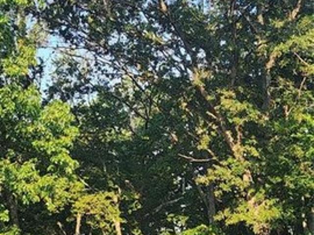 Land for sale in Missouri