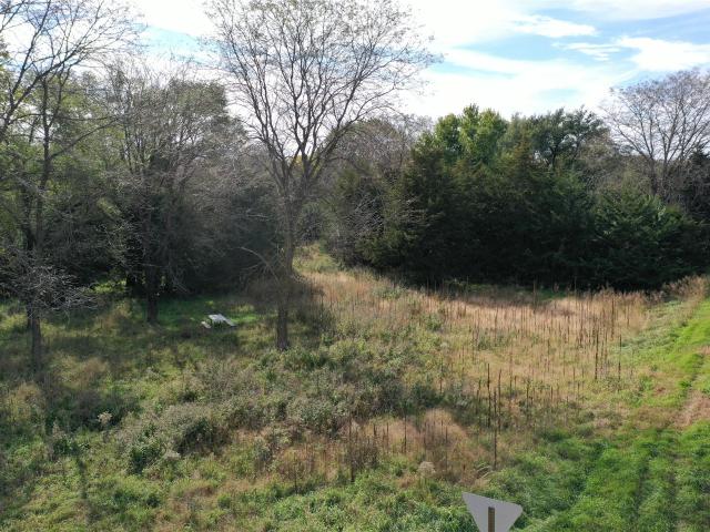 Land for sale in Panora, Guthrie County