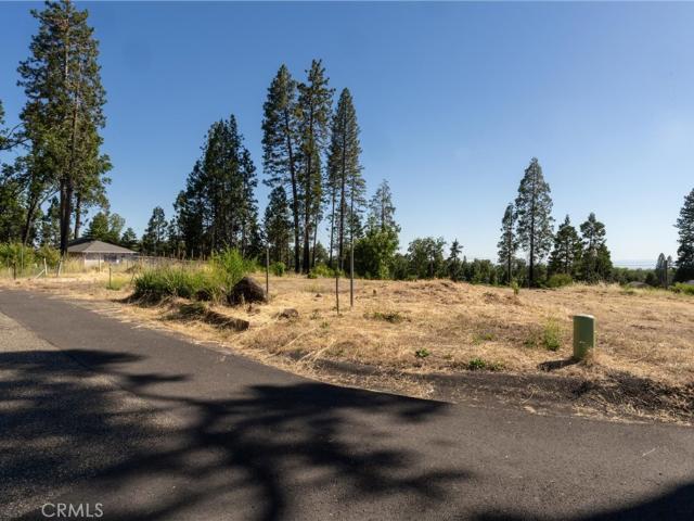 Land for sale in Butte, California