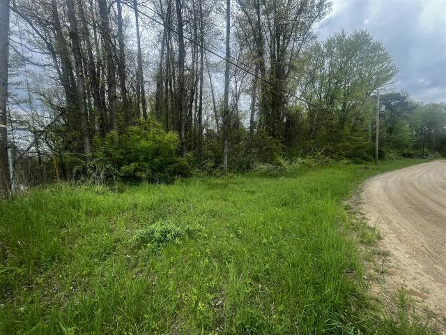 Land for sale in Coloma