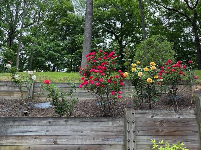 House for sale in Chesapeake Beach, Maryland