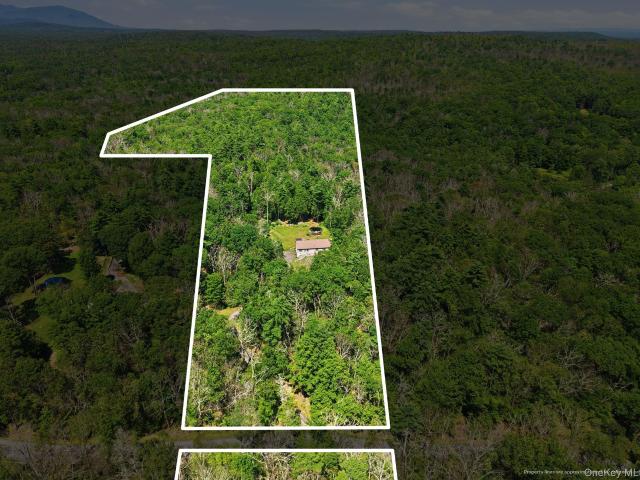 House for sale in Kingston, New York