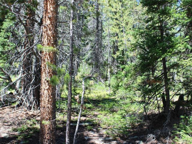 Land for sale in Black Hawk, Colorado