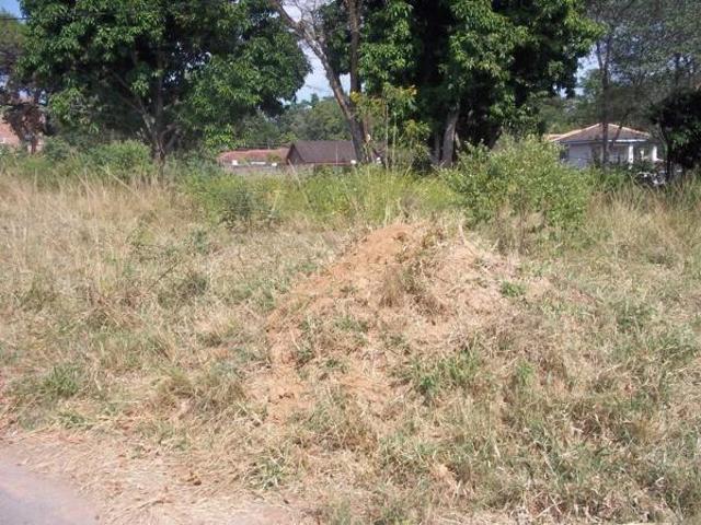 Land for sale in Mpumalanga