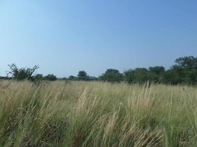 Land for sale in Koppies, Free State