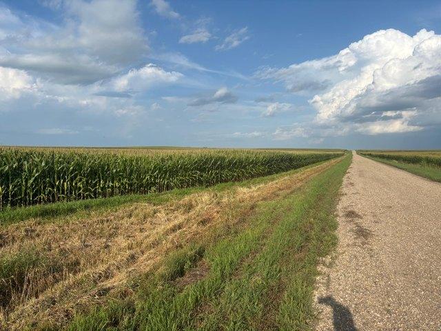 Land for sale in Chokio, Minnesota