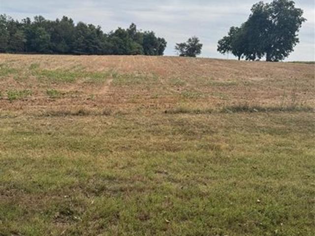 Farm for sale in Dexter, Missouri