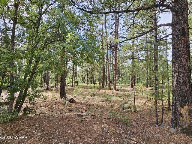 Land for sale in Navajo, Arizona