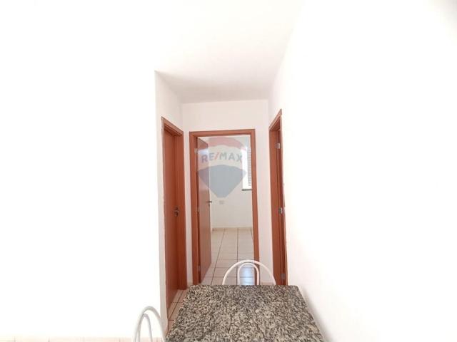 Casa aluguel em Andradina, Centro