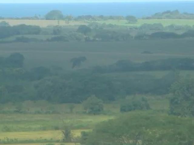 Terreno venta en Las Tablas, Bocas del Toro
