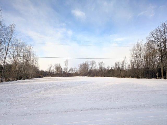 Land for sale in Carrollton, Michigan