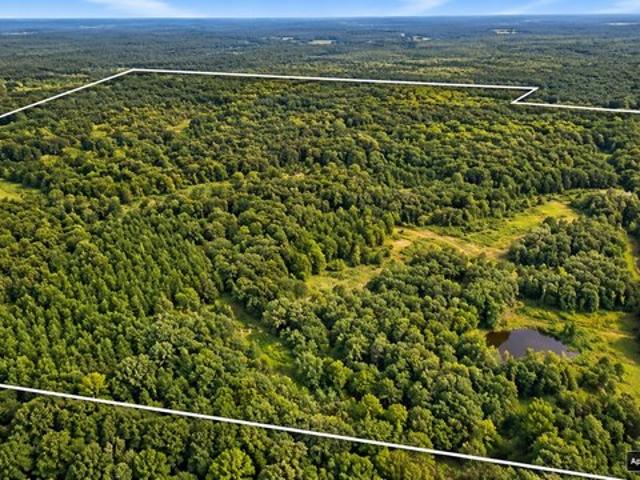 Land for sale in Palmersville, West Tennessee