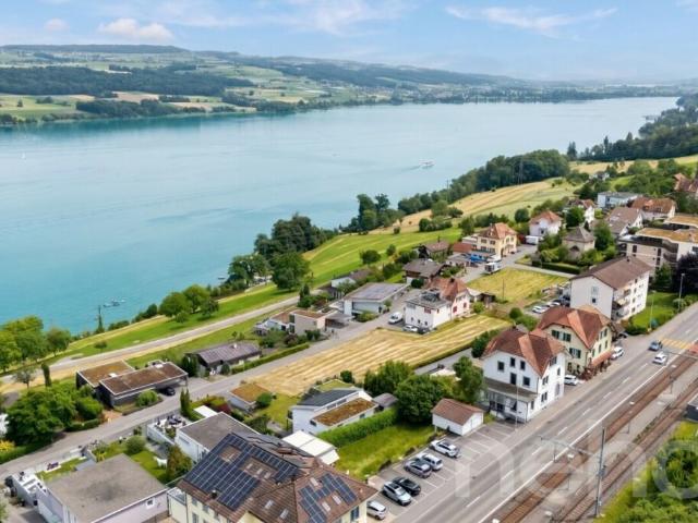 Immobilie kaufen in Birrwil, Aargau