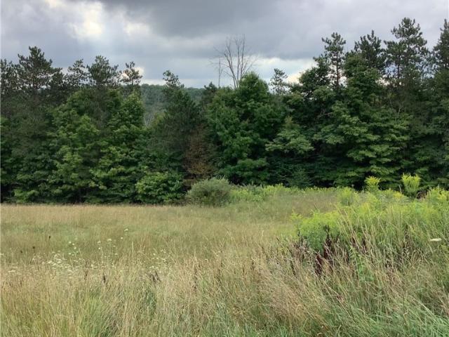 House for sale in Van Etten, New York