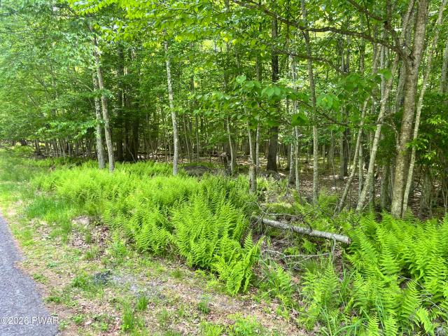 Land for sale in Greentown, Pennsylvania