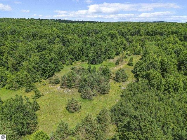 Land for sale in Lake City, Michigan