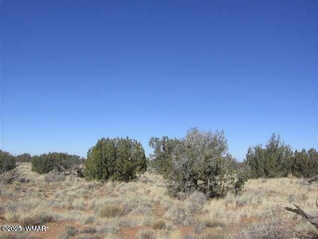 Land for sale in Navajo, Arizona