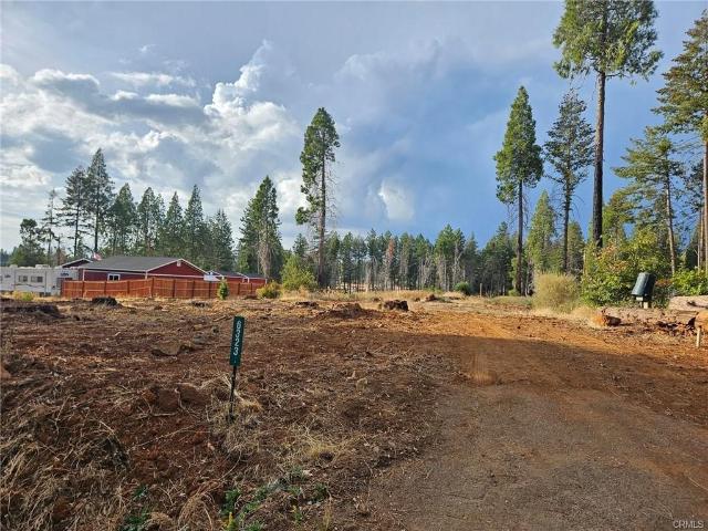 Land for sale in Butte, California