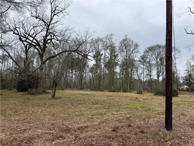 Land for sale in Roseland, Louisiana